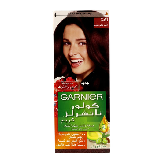 Garnier Color Naturals Ash Brown No. 4.1